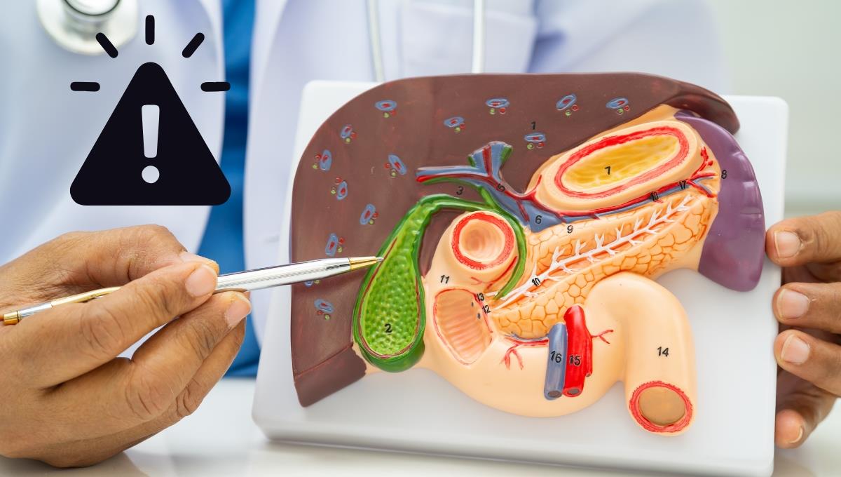 Si sientes estos síntomas, es porque la salud de tu vesícula está complicada